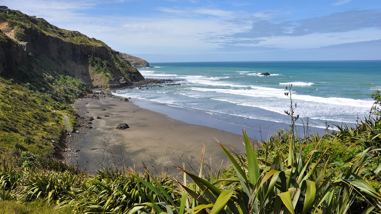 Auckland's Wild West Coast and Black Sand Beaches Tour