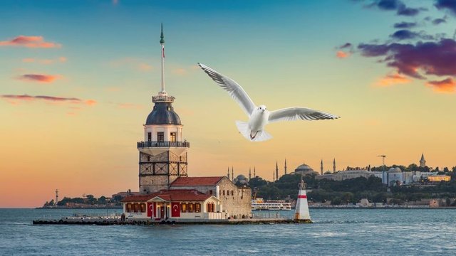 伊斯坦布爾巴士 & 博斯普魯斯海峽遊輪一日遊