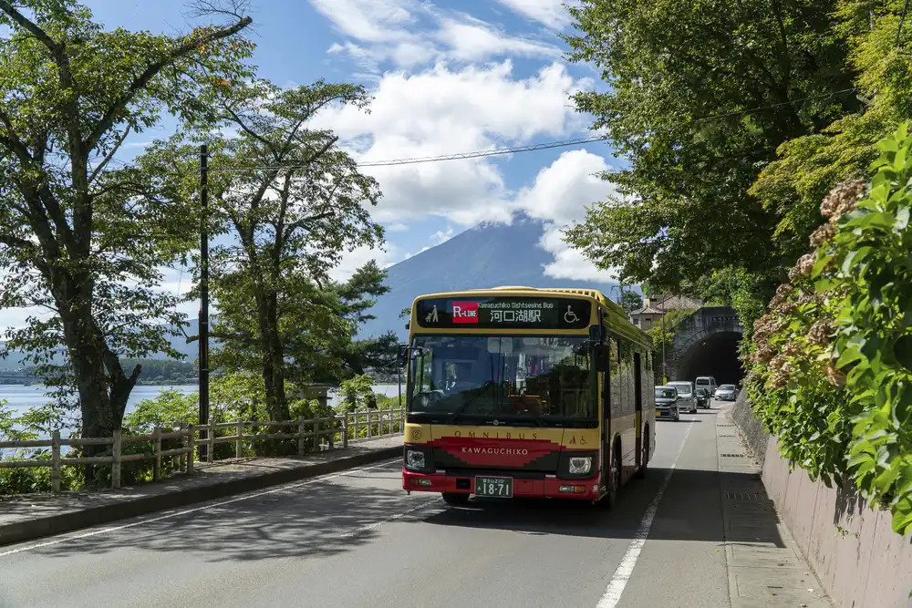 Mount Fuji Area Sightseeing Bus Pass 