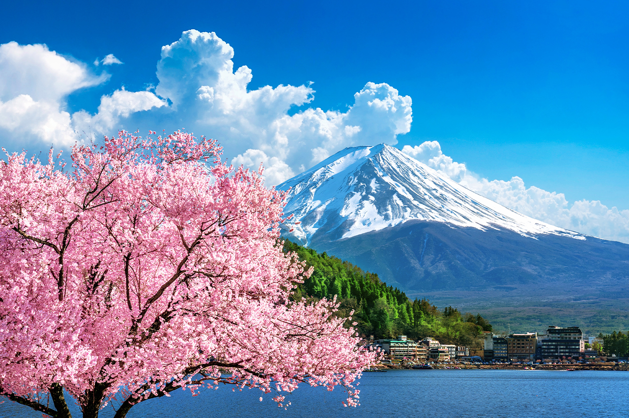 富士山探索之旅｜新倉山淺間公園·天梯小鎮·忍野八海·河口湖大石公園·西湖療愈里根場一日遊