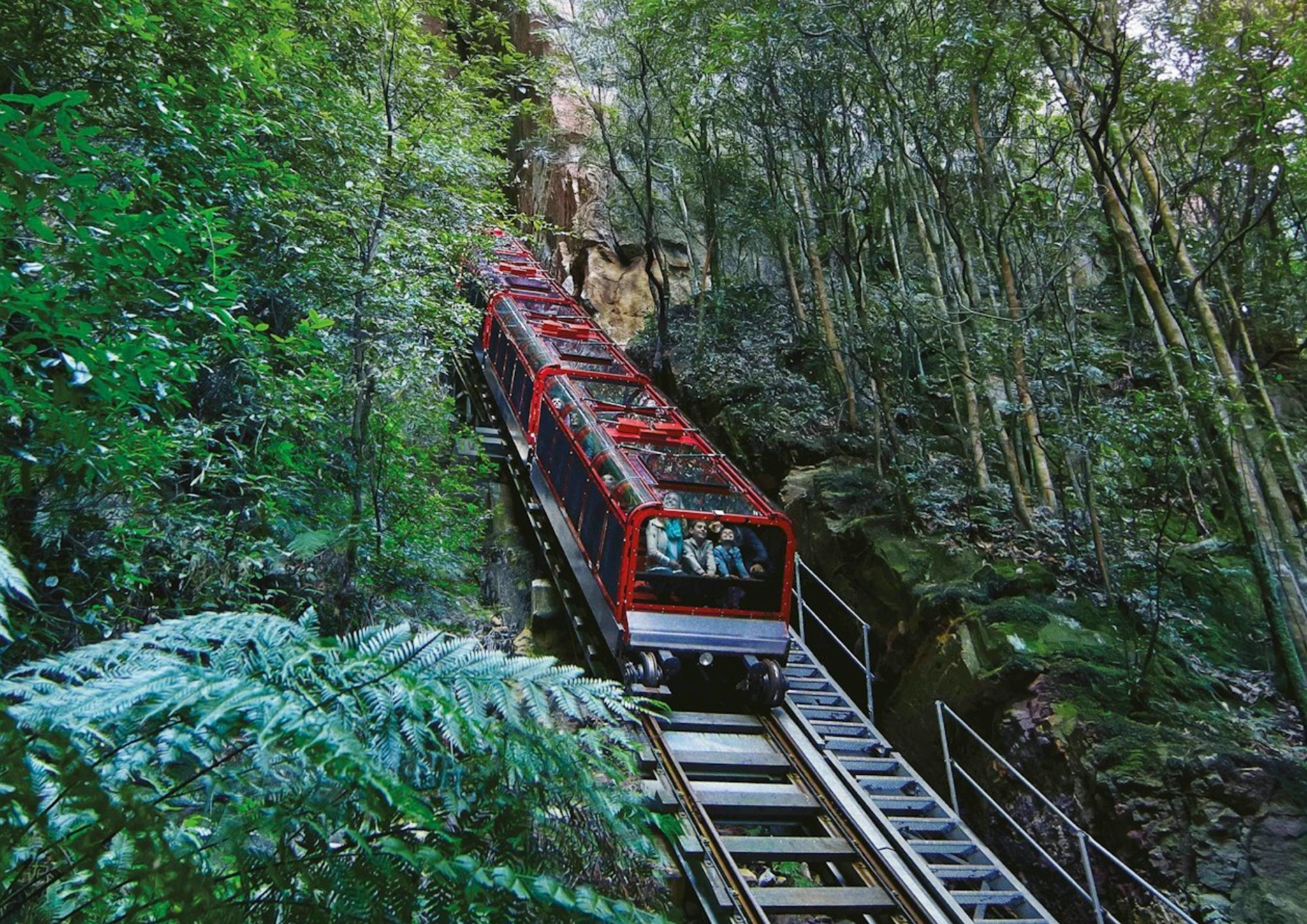 探索藍山的壯麗景色和步道