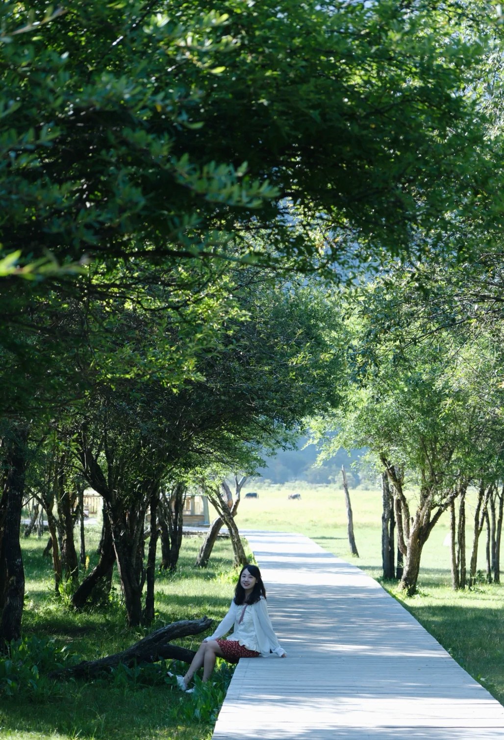 乘車至人參果坪(海拔 3300m);停留 30 分鐘,拍草甸、溪流、犛牛,藏裝旅拍優選;之後返回景區門口 乘車至人參果坪(海拔 3300m);停留 30 分鐘,拍草甸、溪流、犛牛,藏裝旅拍優選;之後返回景區門口