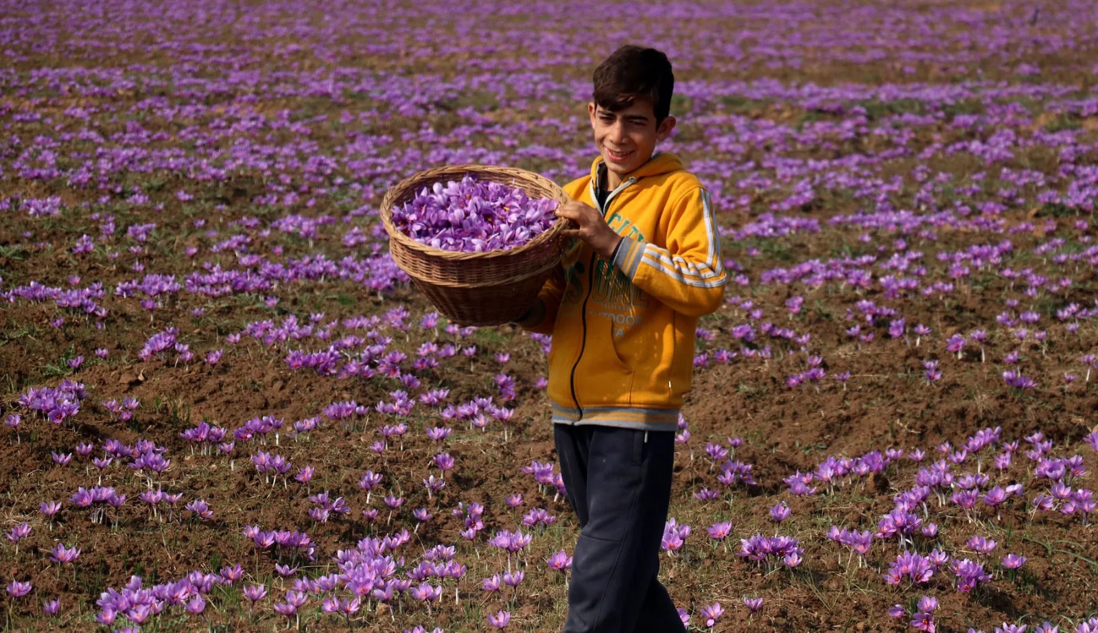 From Srinagar: Pahalgam Day Trip with Saffron Farm & Apple Valley