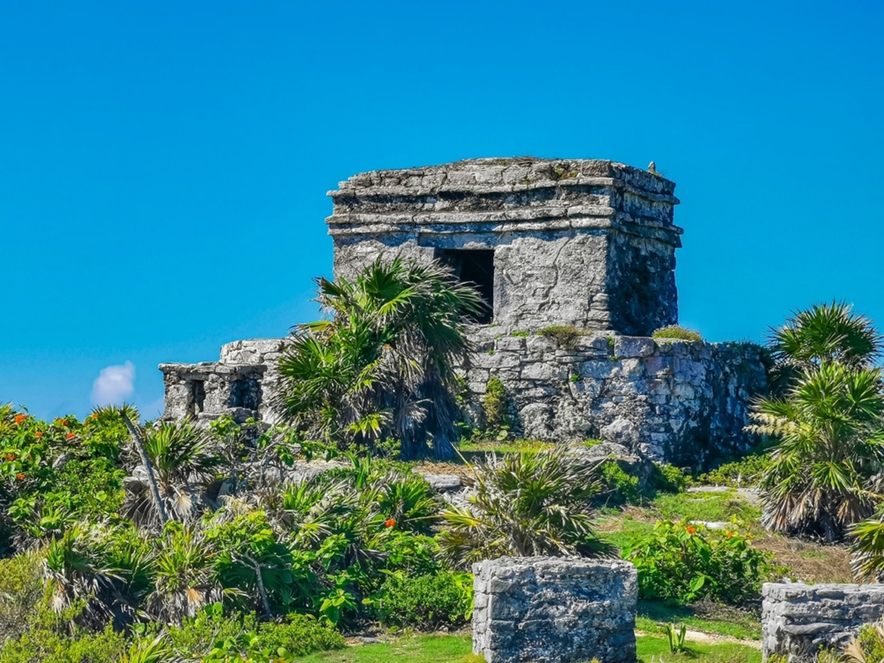 Private Tour from Cancun: Explore Tulum Ruins & Jungle Cenote