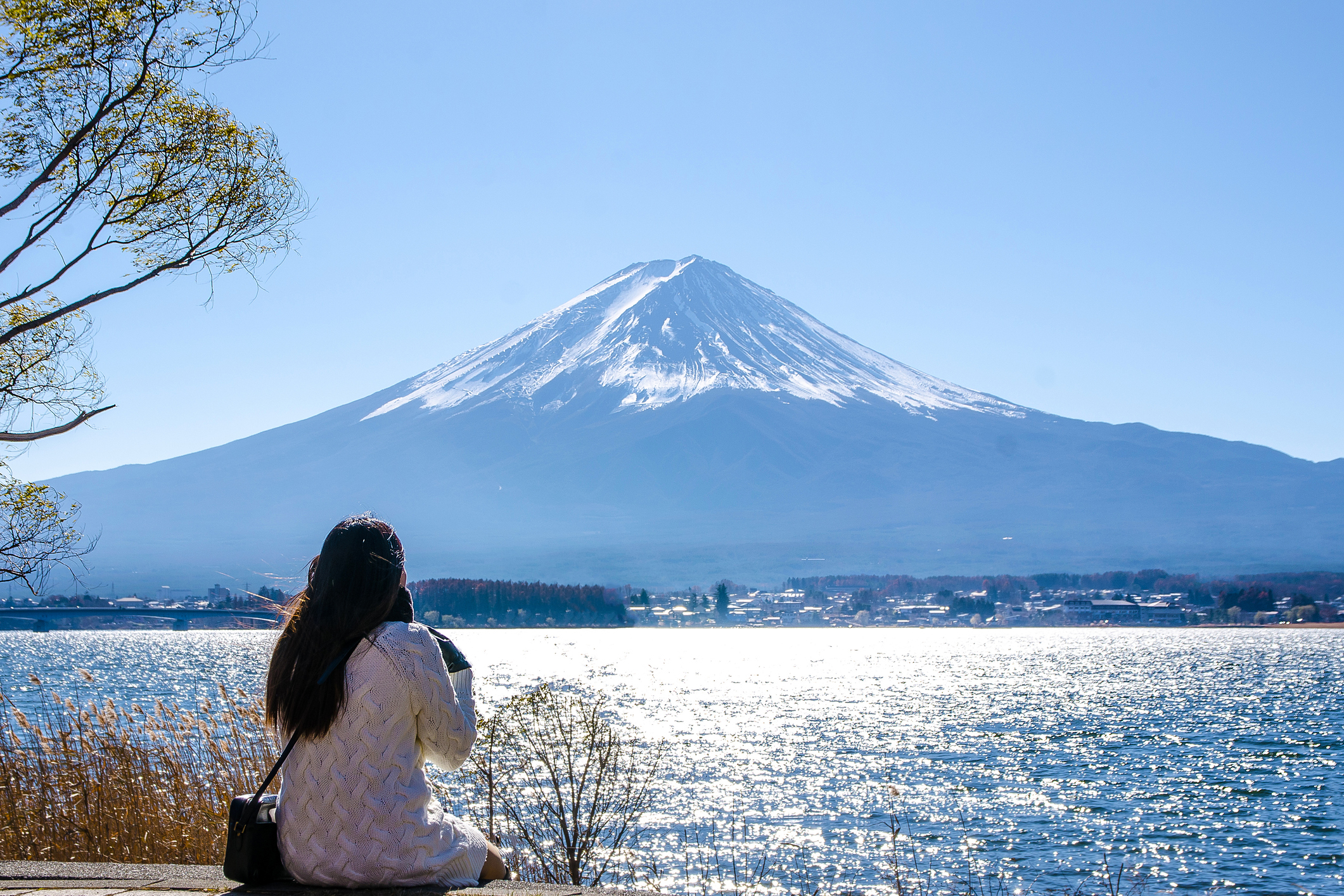 從東京出發：富士山、鎌倉、蘆之湖與忍野八海巴士之旅
