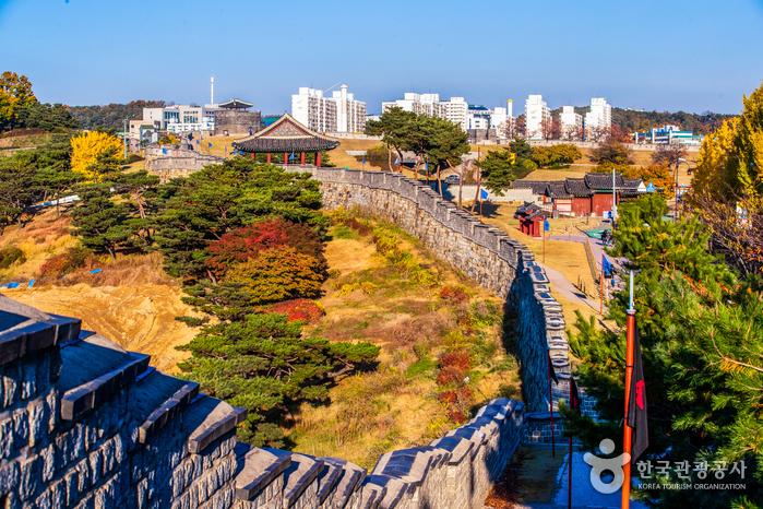 和談樹木園（Hwadamsup）、韓國民俗村、華城、濟扶島海上纜車
