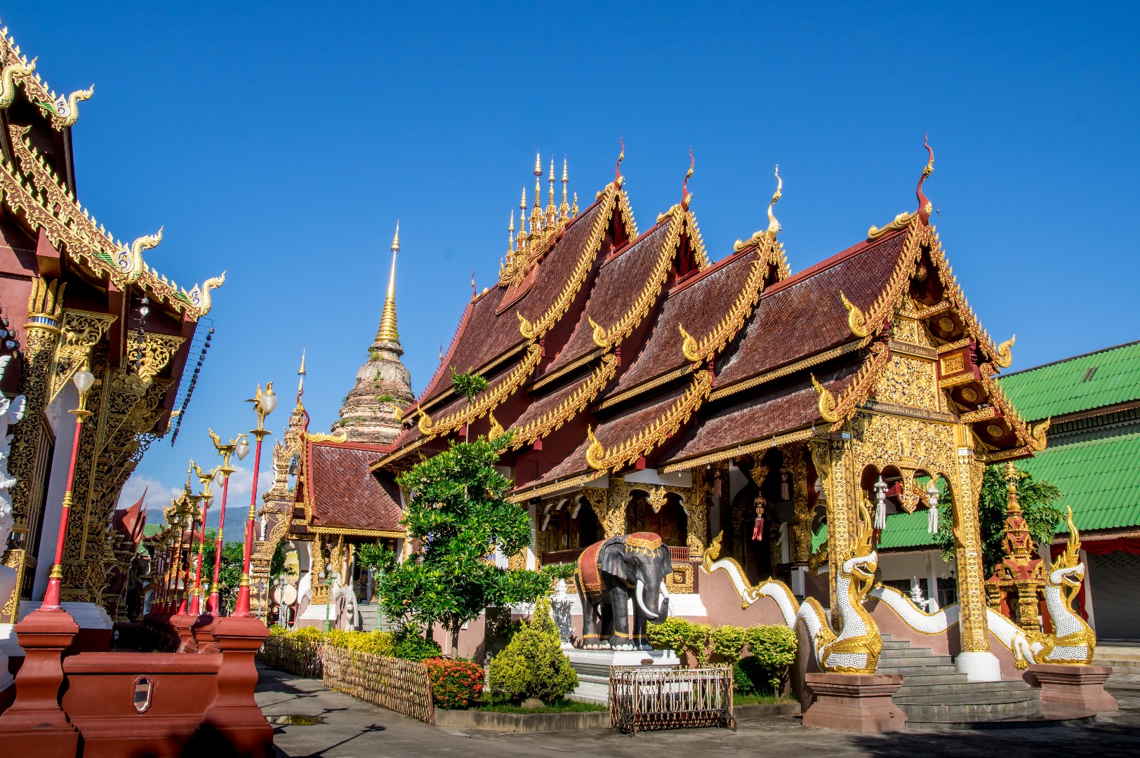 Chiang Mai Historic Old City Biking Tour