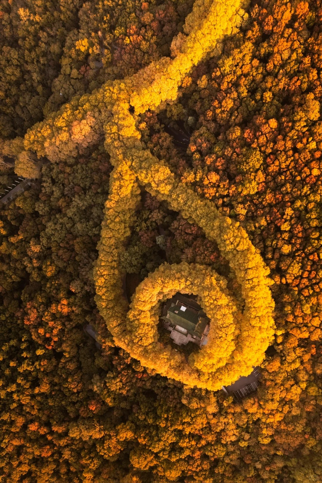美齡宮,正式名稱為國民政府主席官邸舊址,位於南京鐘山風景名勝區內,是一座融合了中國傳統建築元素與西方建築風格的典雅宮殿,曾是蔣介石和宋美齡的住所,見證了諸多歷史風雲,如今成為承載著豐富歷史文化內涵的著名景點。 美齡宮,正式名稱為國民政府主席官邸舊址,位於南京鐘山風景名勝區內,是一座融合了中國傳統建築元素與西方建築風格的典雅宮殿,曾是蔣介石和宋美齡的住所,見證了諸多歷史風雲,如今成為承載著豐富歷史文化內涵的著名景點。