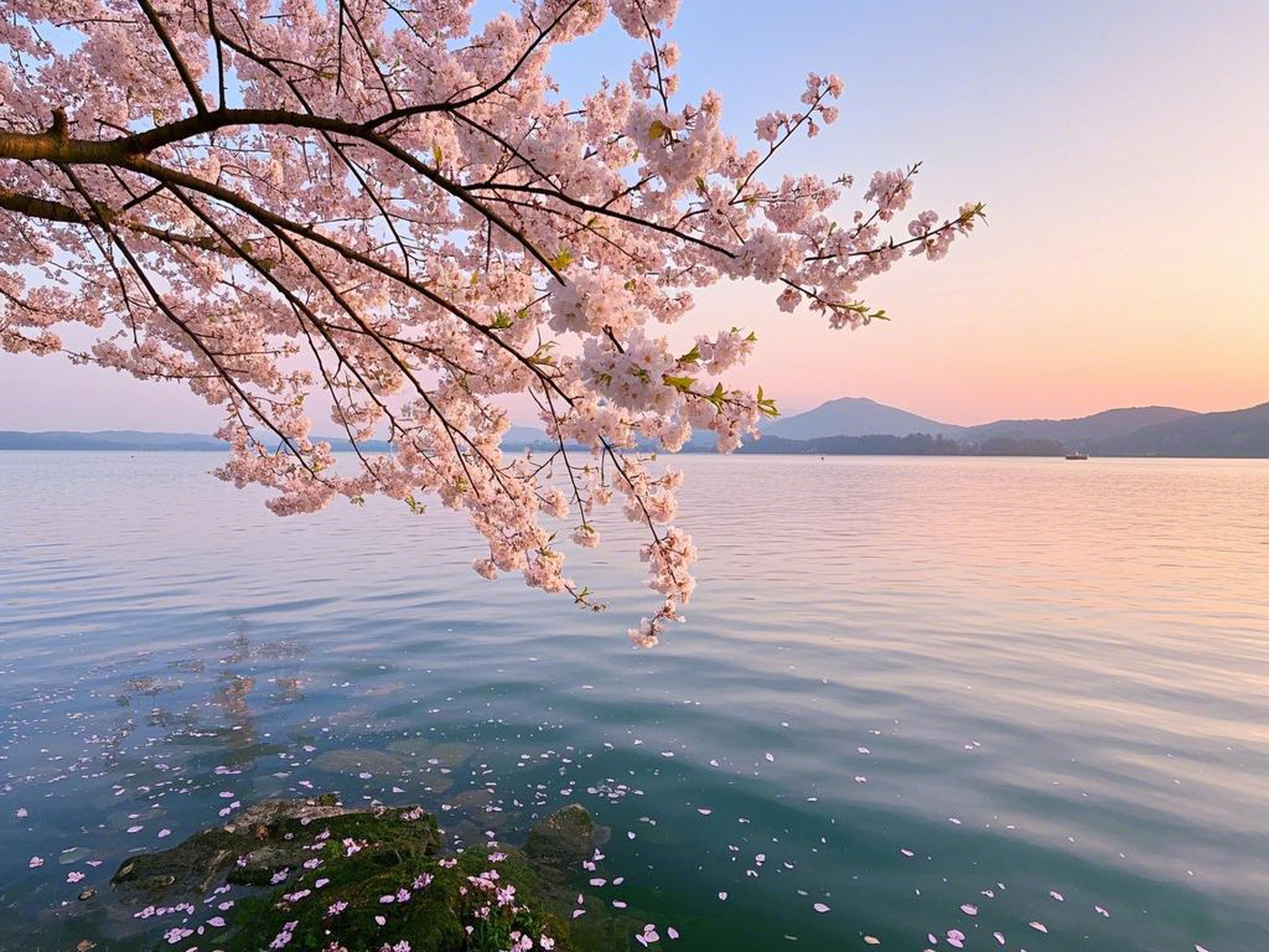 【私享定製團】 上海出發烏鎮+蘇州+無錫度假5天4晚（夜上海遊覽+烏鎮東柵西柵雙景區+太湖渡船+體驗非遺蘇繡）