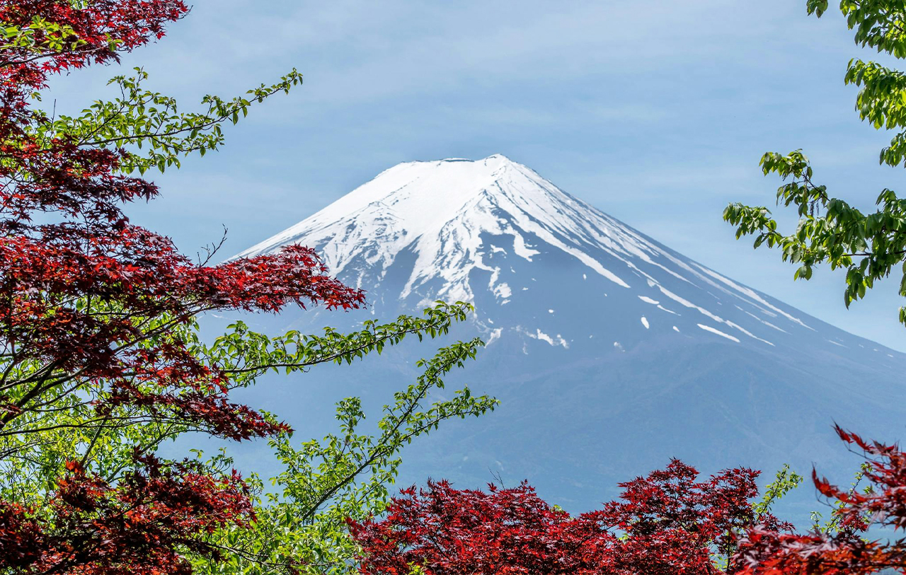 [Four Seasons Only] One-Day Tour of Mt. Fuji and Lake Kawaguchi｜Moss-sakura in Spring, 5th Station in Summer｜Maple Leaf Corridor in Autumn, Snow-capped Peaks in Winter｜Lake Yamanaka Cruise or Hot Springs｜Depart from Tokyo