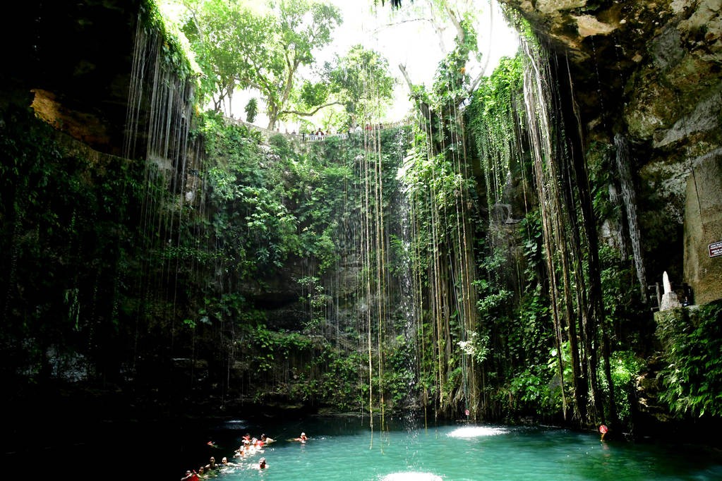 Exploring a narrow, hidden pathway leading to one of Yucatán's mysterious cenotes