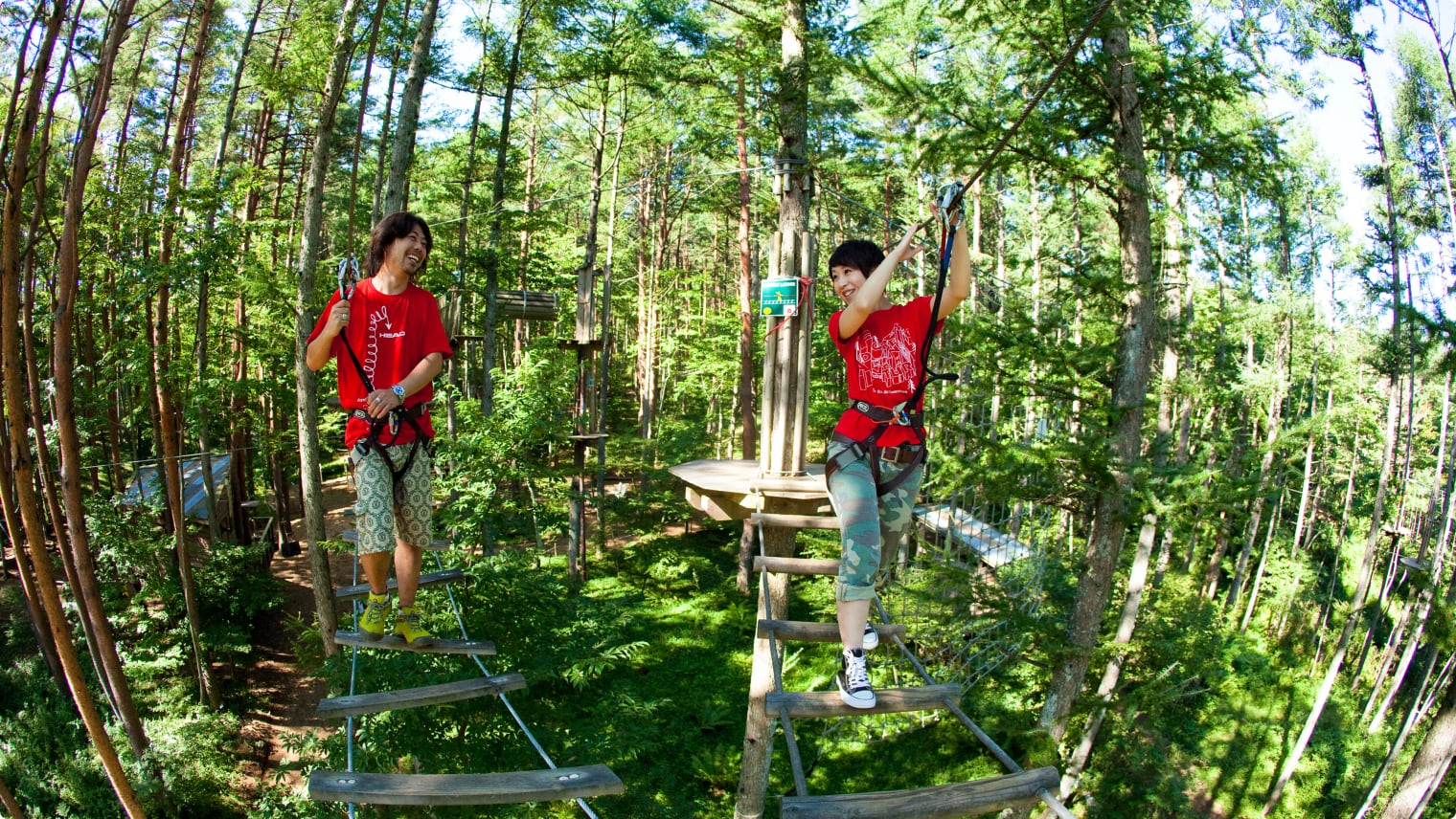 Forest Adventure Experience in Fukuoka