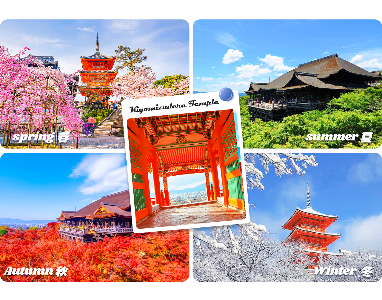 春賞櫻、秋觀楓，站在舞臺遠眺京都市景，美不勝收⛩️。