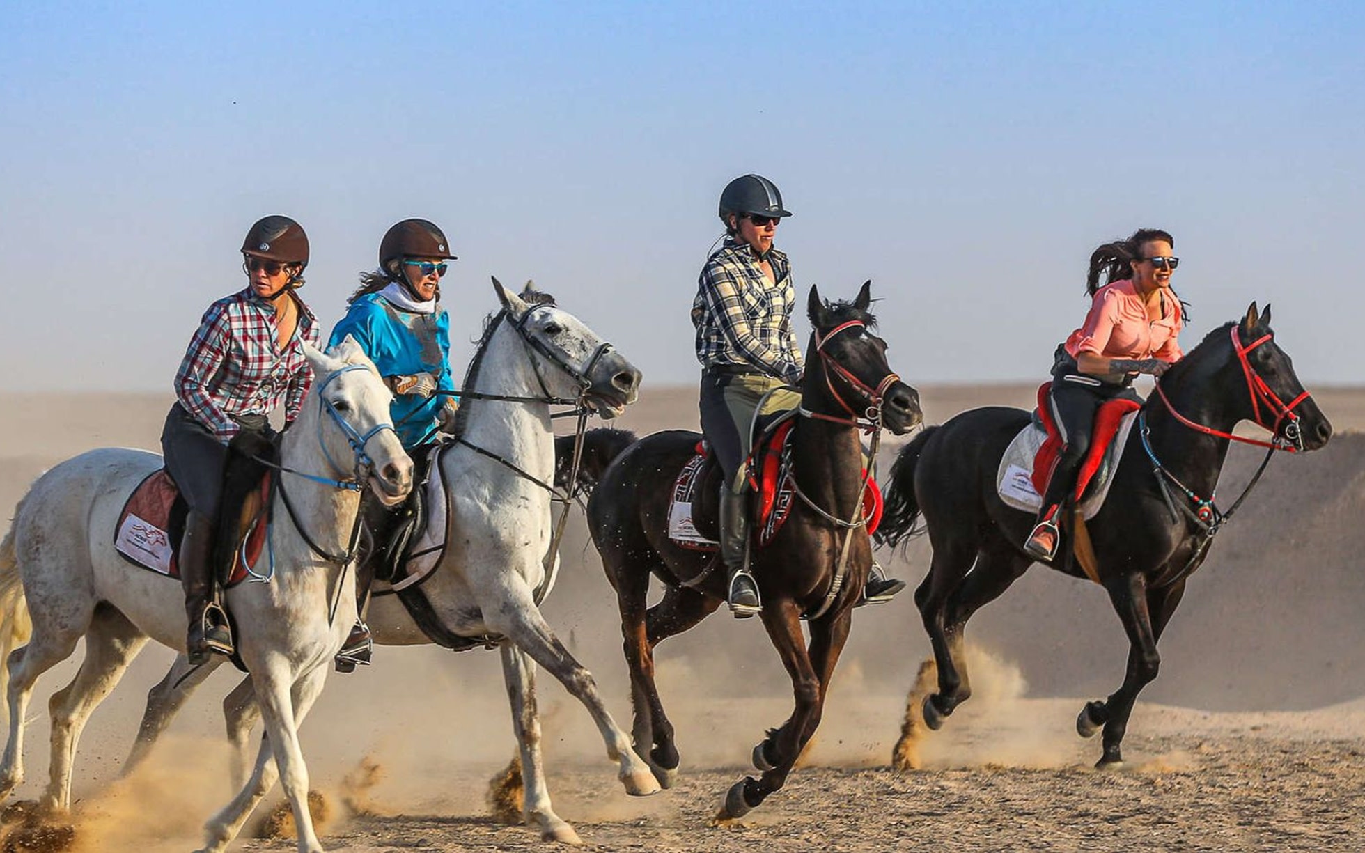 Horse Riding Experience in the Desert of Qatar with Hotel Transfer