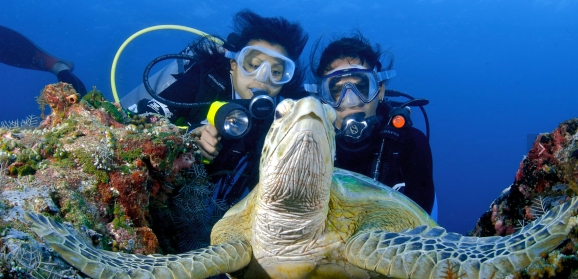 敦沙卡蘭海洋公園島浮潛或潛水之旅
