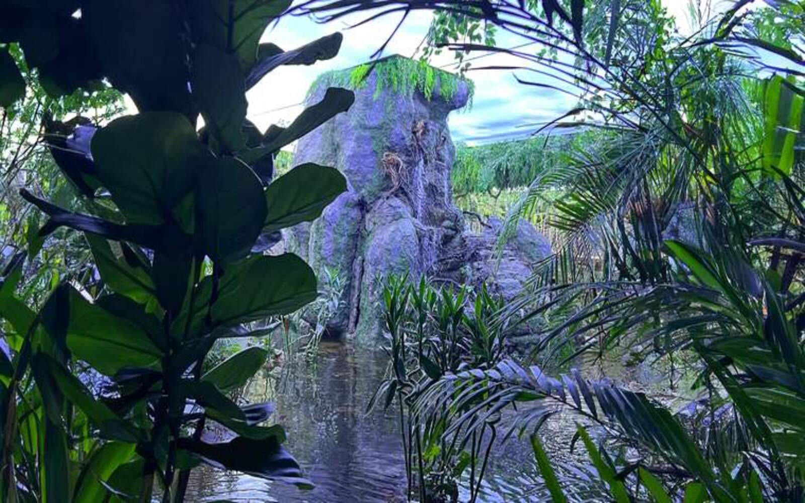 Tropical Land Day Pass