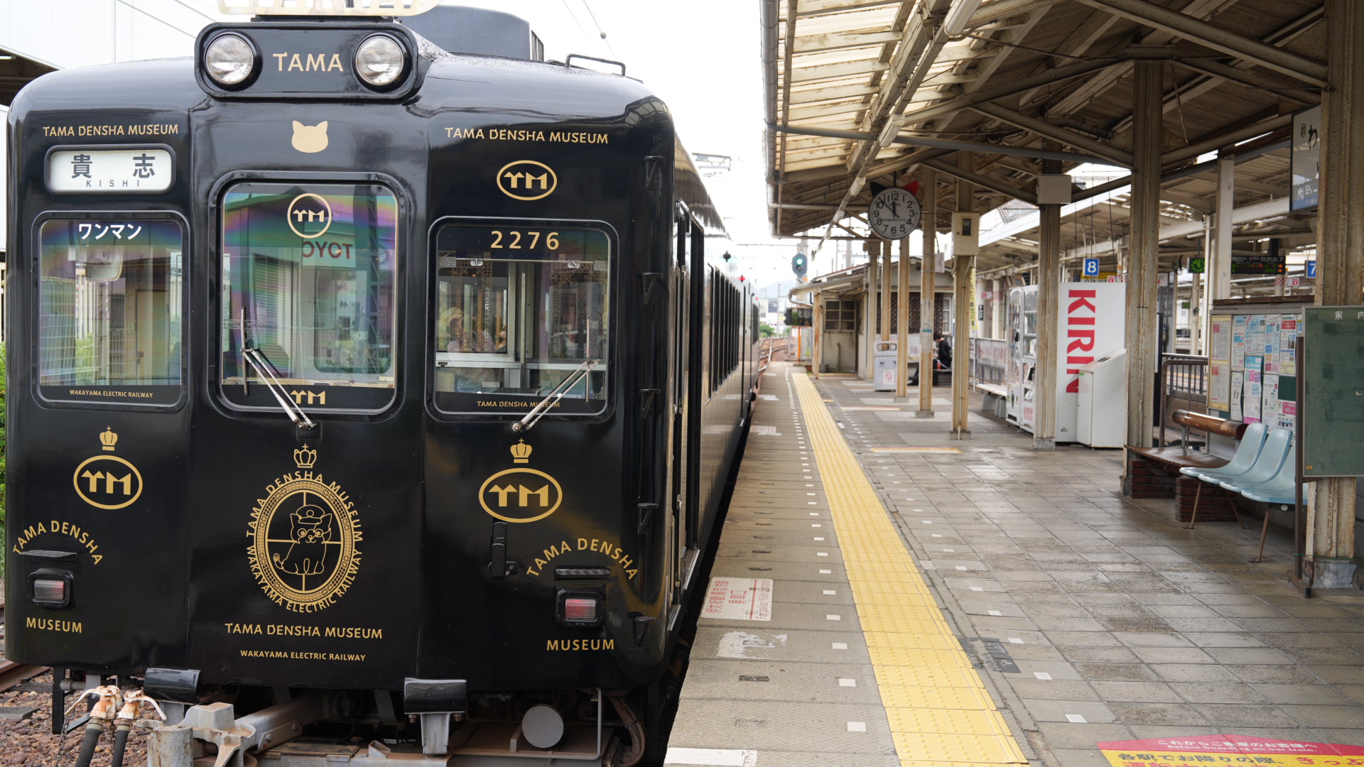 A healing journey immersed in the warmth of Zen
You can feel the depth and gentleness of Zen at every moment, healing your body and mind.
Listen to the "click-click" sound of the Kodama tram, watch the green mountains pass by, and the vast rural scenery u