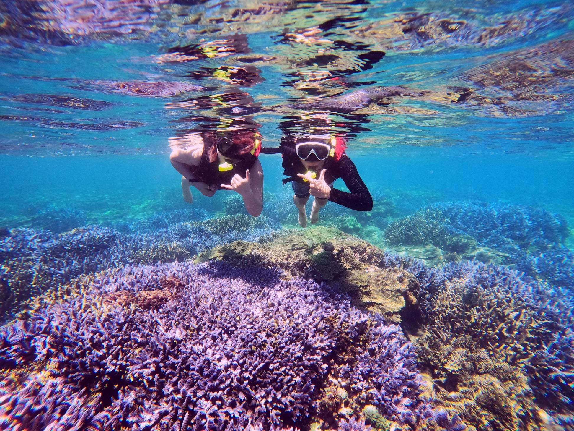 Penghu: Lavender Forest & Southern Four Islands National Park Snorkeling Day Trip