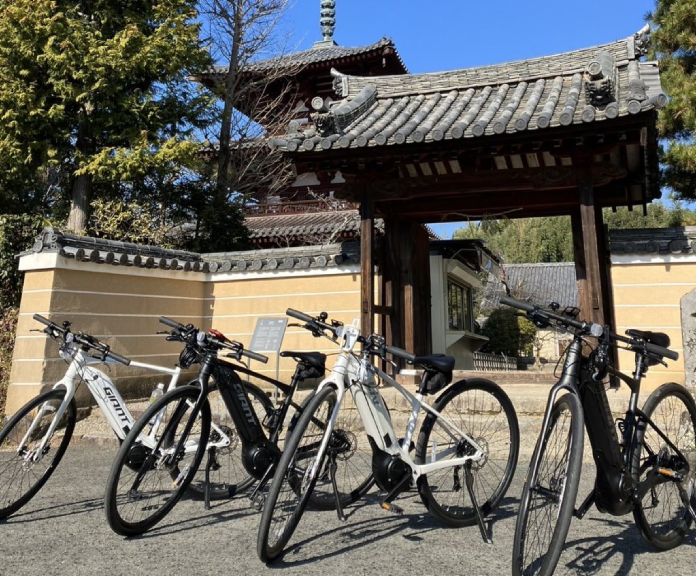 E-Bike Rental (Enjoy the Country Roads of Nara)