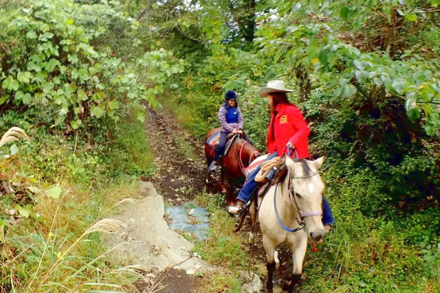 御殿場維圖斯騎馬俱樂部騎馬體驗