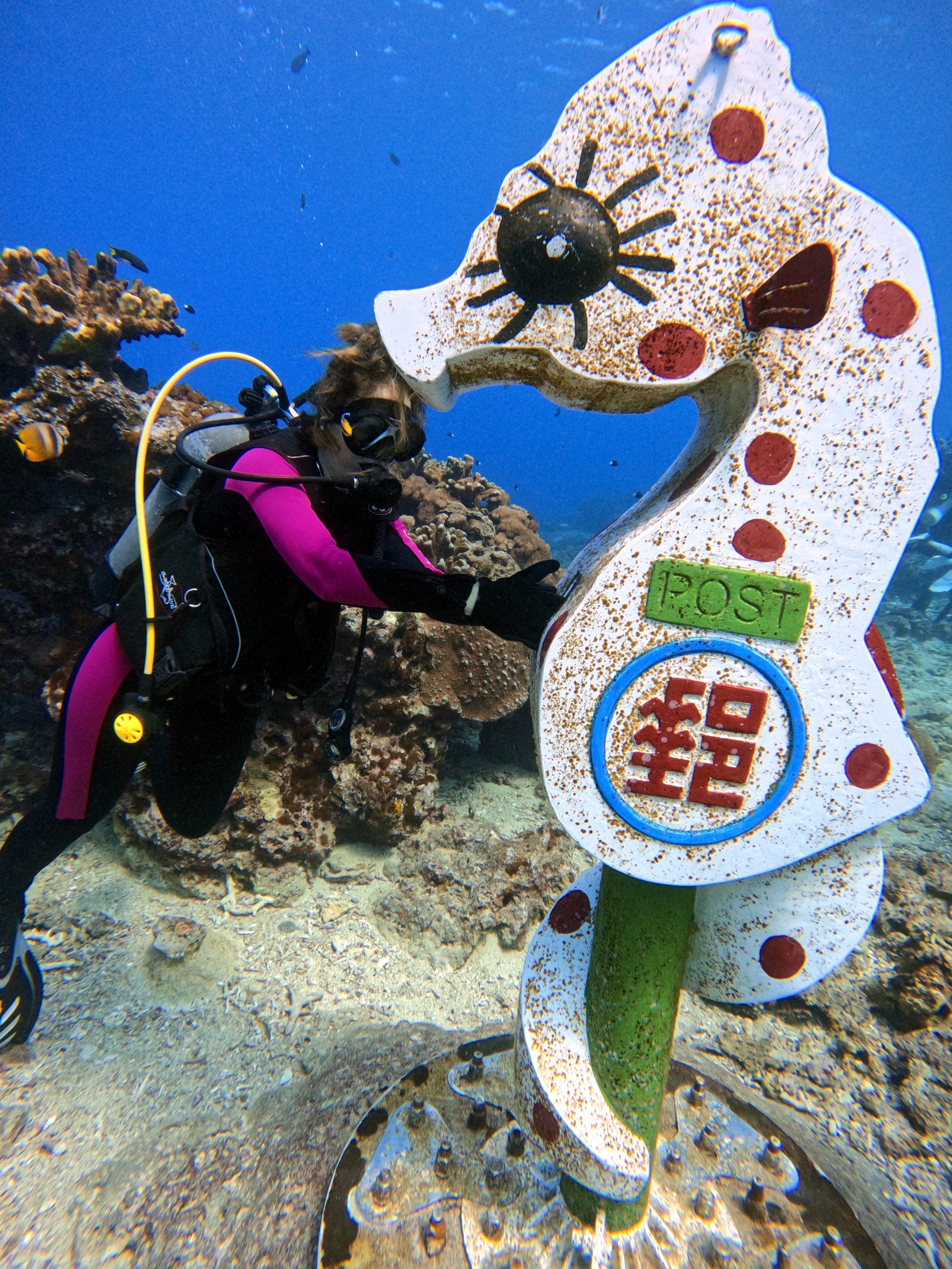 Taitung Green Island: Fun Under the Sea SDI Open Water Scuba Diver Course