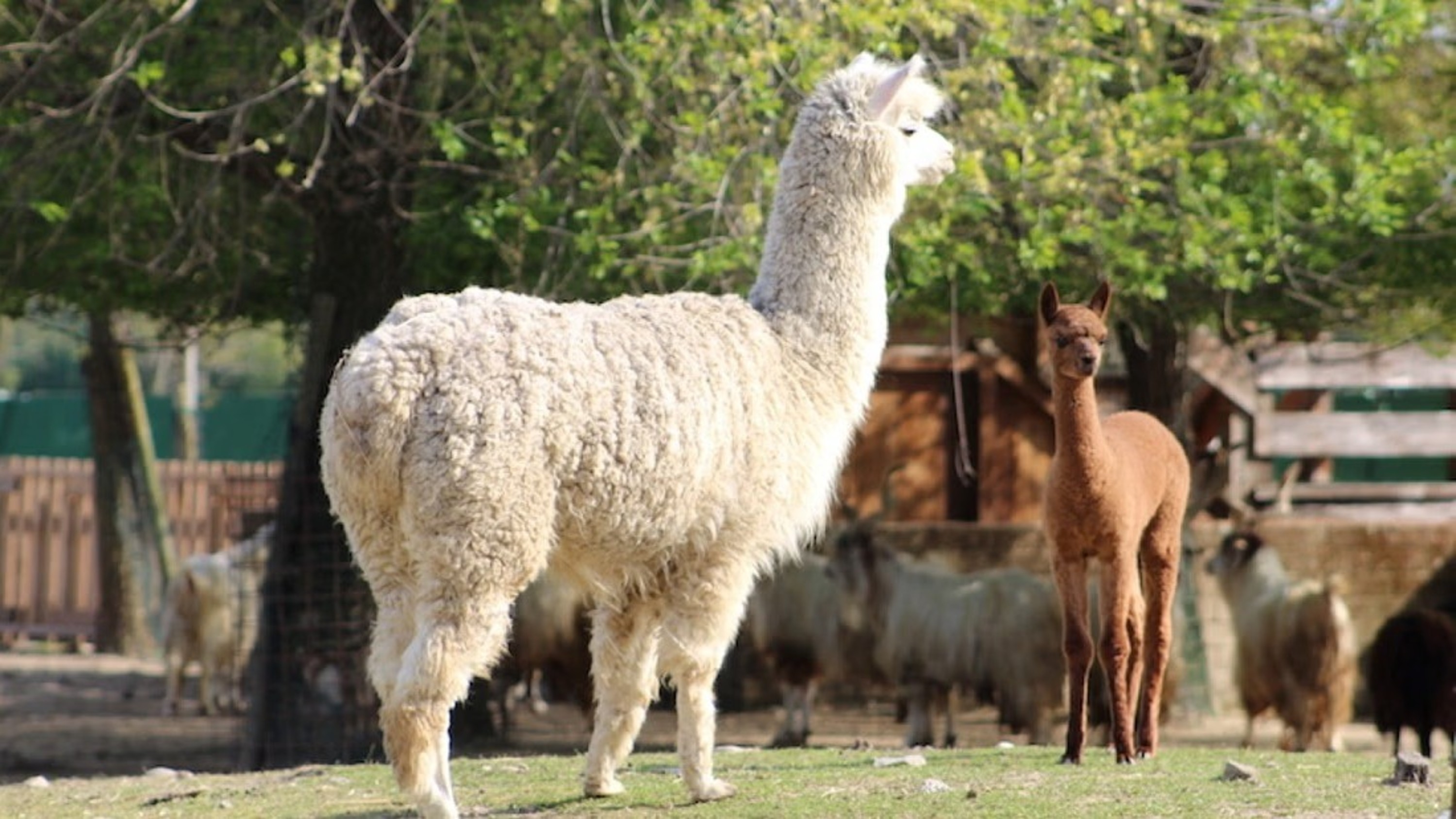 Explore new places and enjoy an unforgettable wildlife experience today
