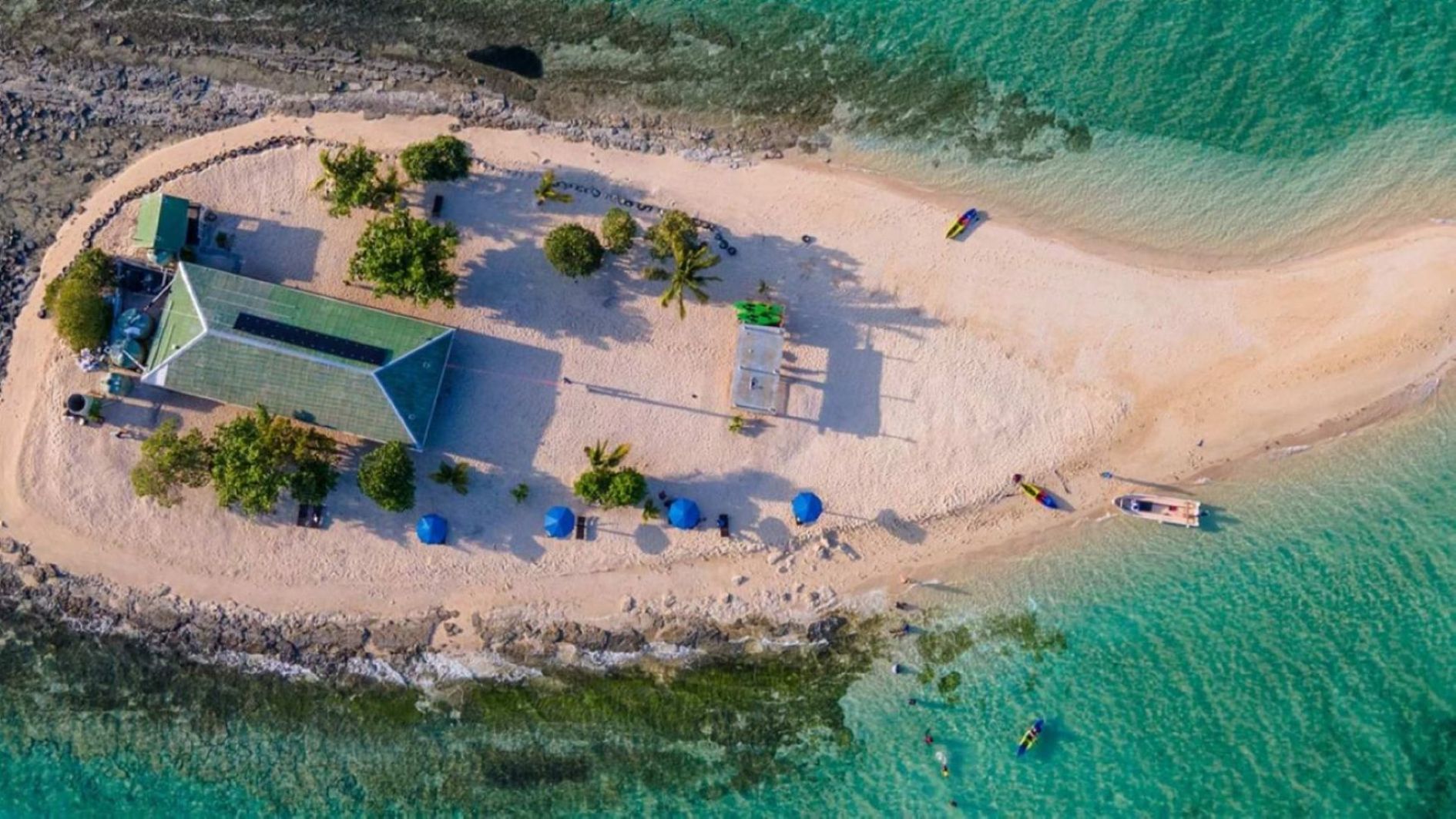 Oolala Cruise to Savala Island Day Tour