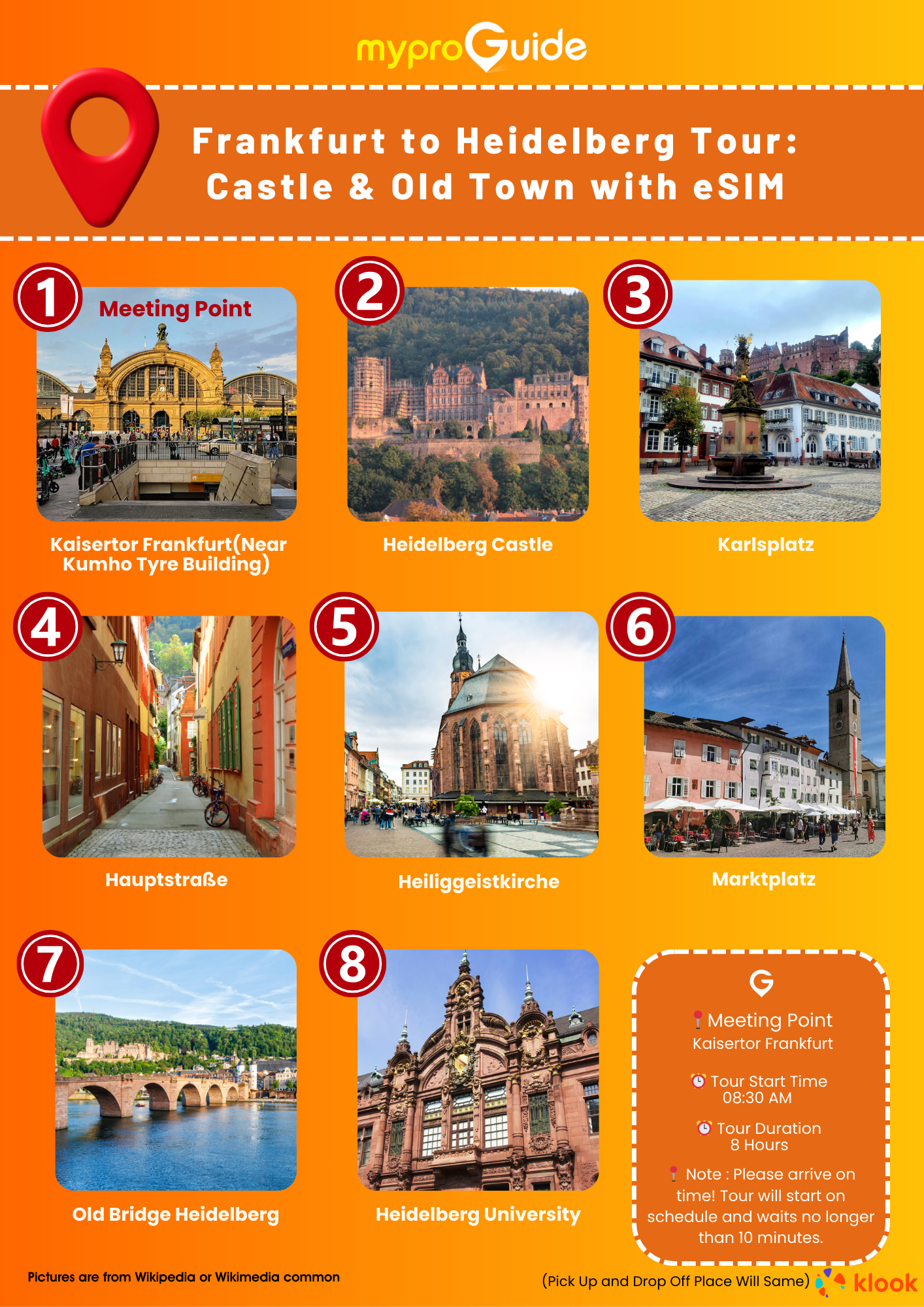 Frankfurt to Heidelberg Half-Day Tour: Castle & Old Town with eSIM