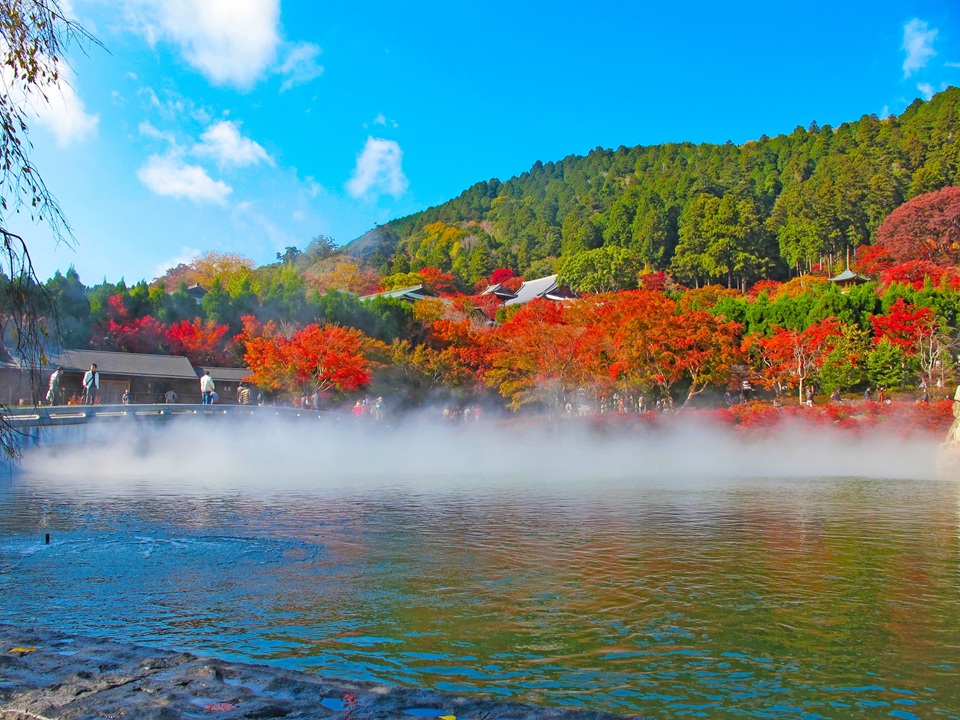 Kansai popular attractions Osaka Katsuoji Temple, Kyoto Arashiyama, Uji Byodoin Temple one-day tour | Optional exclusive A5 premium Kobe beef (depart from Osaka)