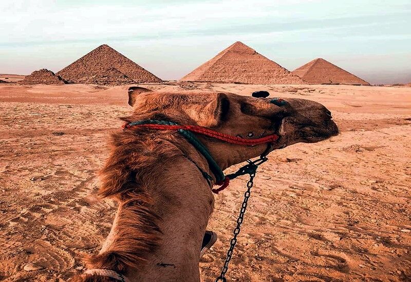 ‎4 Days Best Cairo tours and Giza best ‎tours with private guide