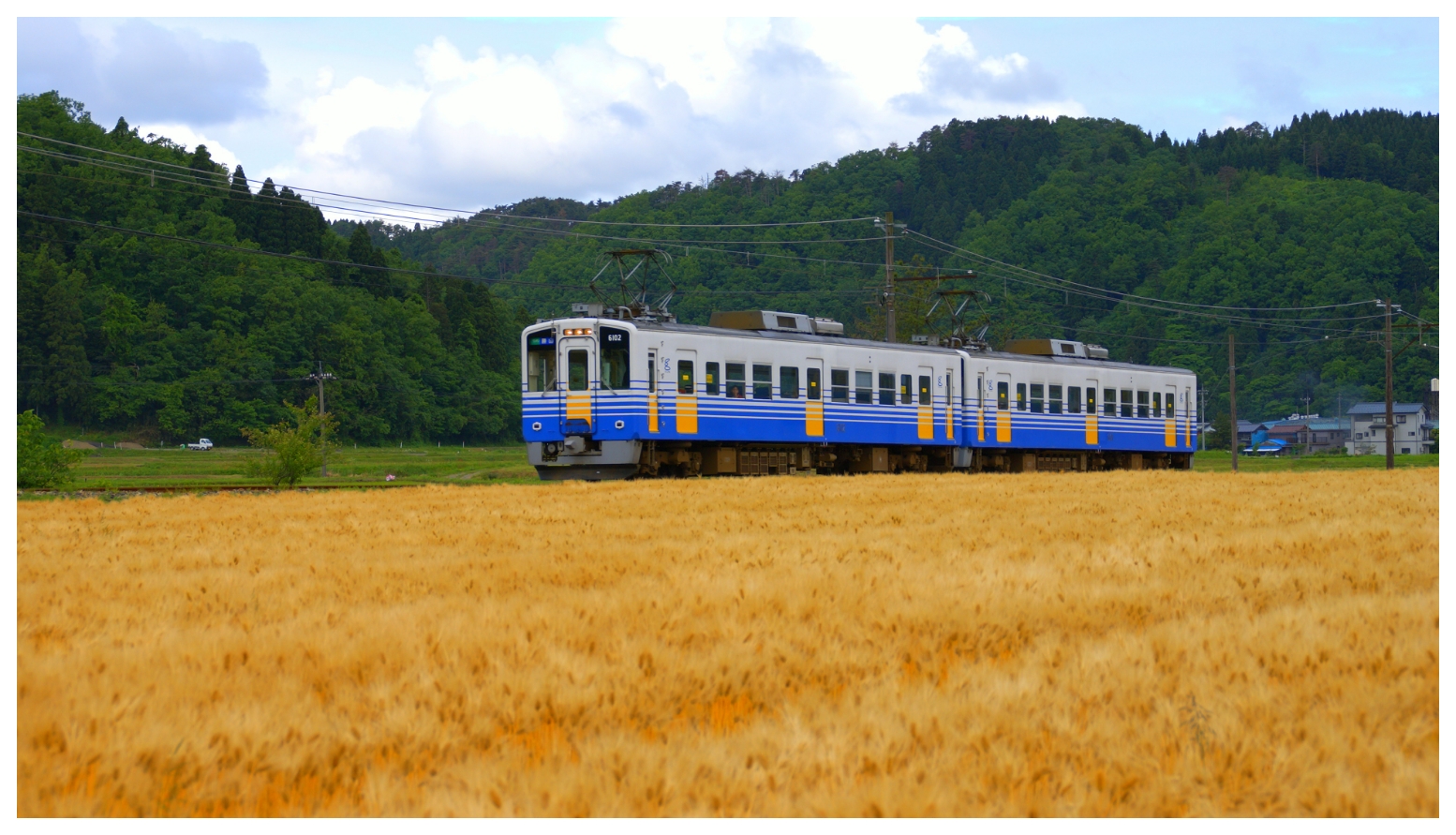 Fukui