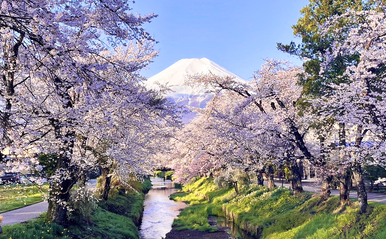 富士山五合+新倉山淺間公園+忍野八海+御殿場奧萊