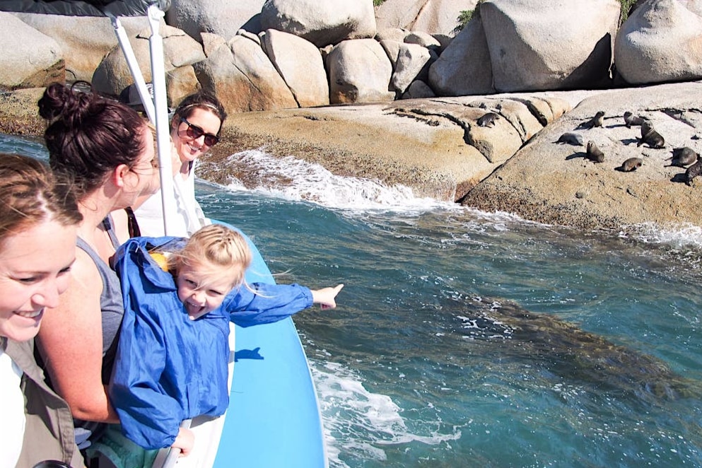 Discover fascinating facts about the marine and wildlife that live in the area from the tour's expert guide