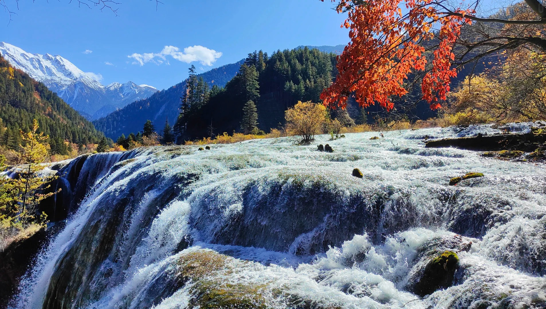 山中的瀑布在陽光照射下，水珠飛濺，整個九寨溝如同進入了一個仙境，靜謐而迷人，令人陶醉其中