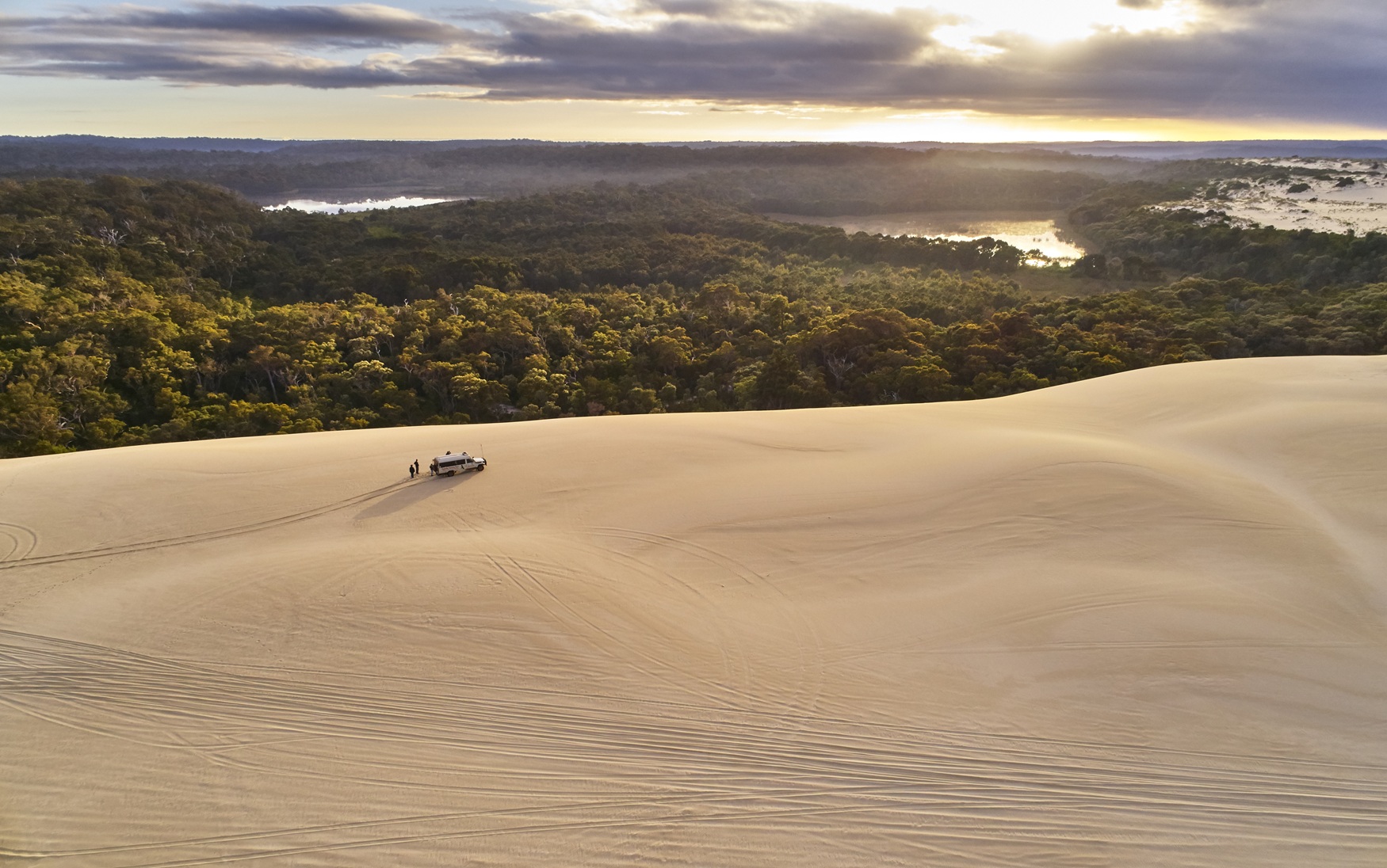 Pemberton Eco Adventure by 4WD: Yeagarup Dunes & Forest Experience