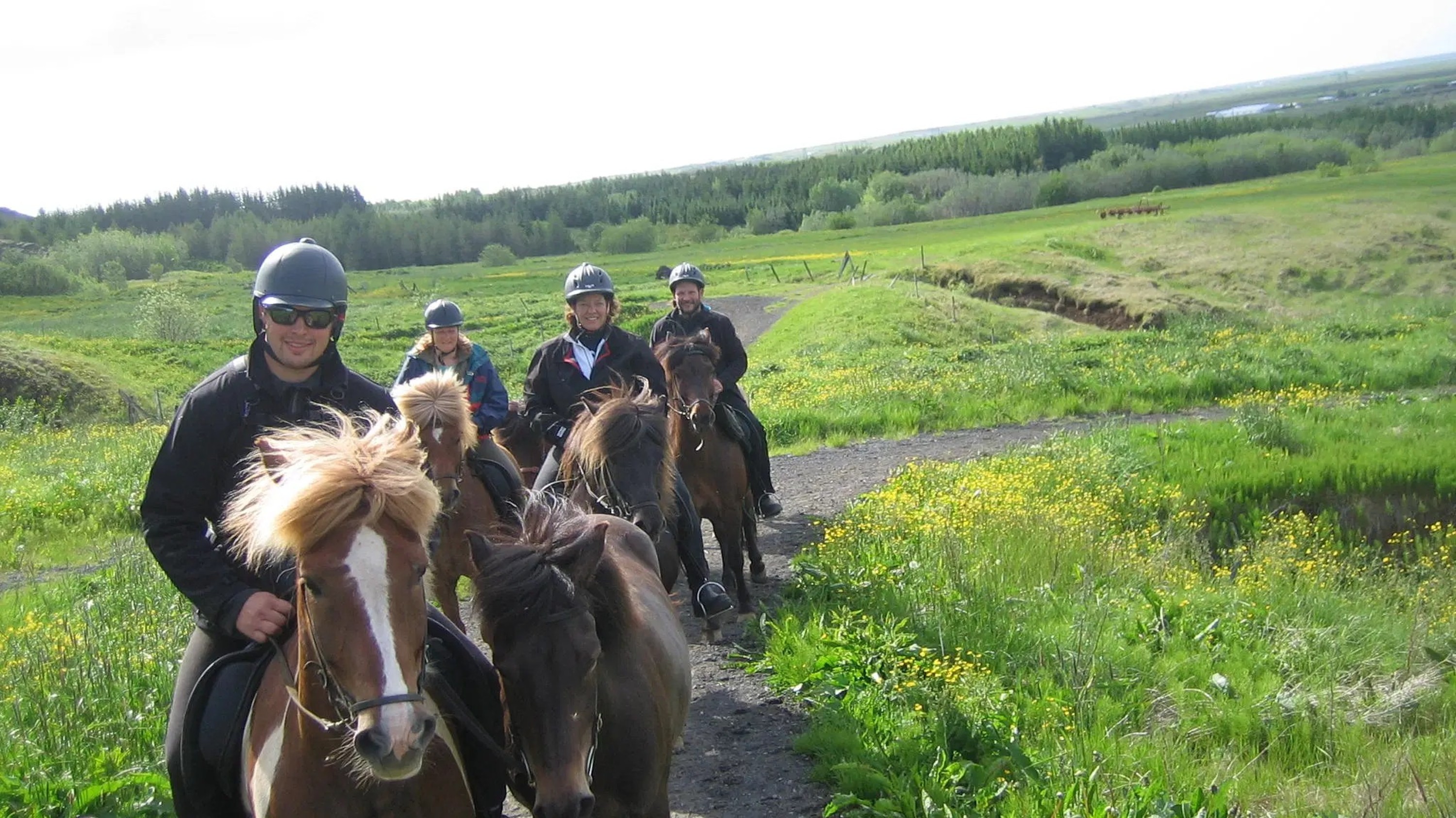 Riding through a sea of green and gold—pure joy on the Icelandic countryside trail
