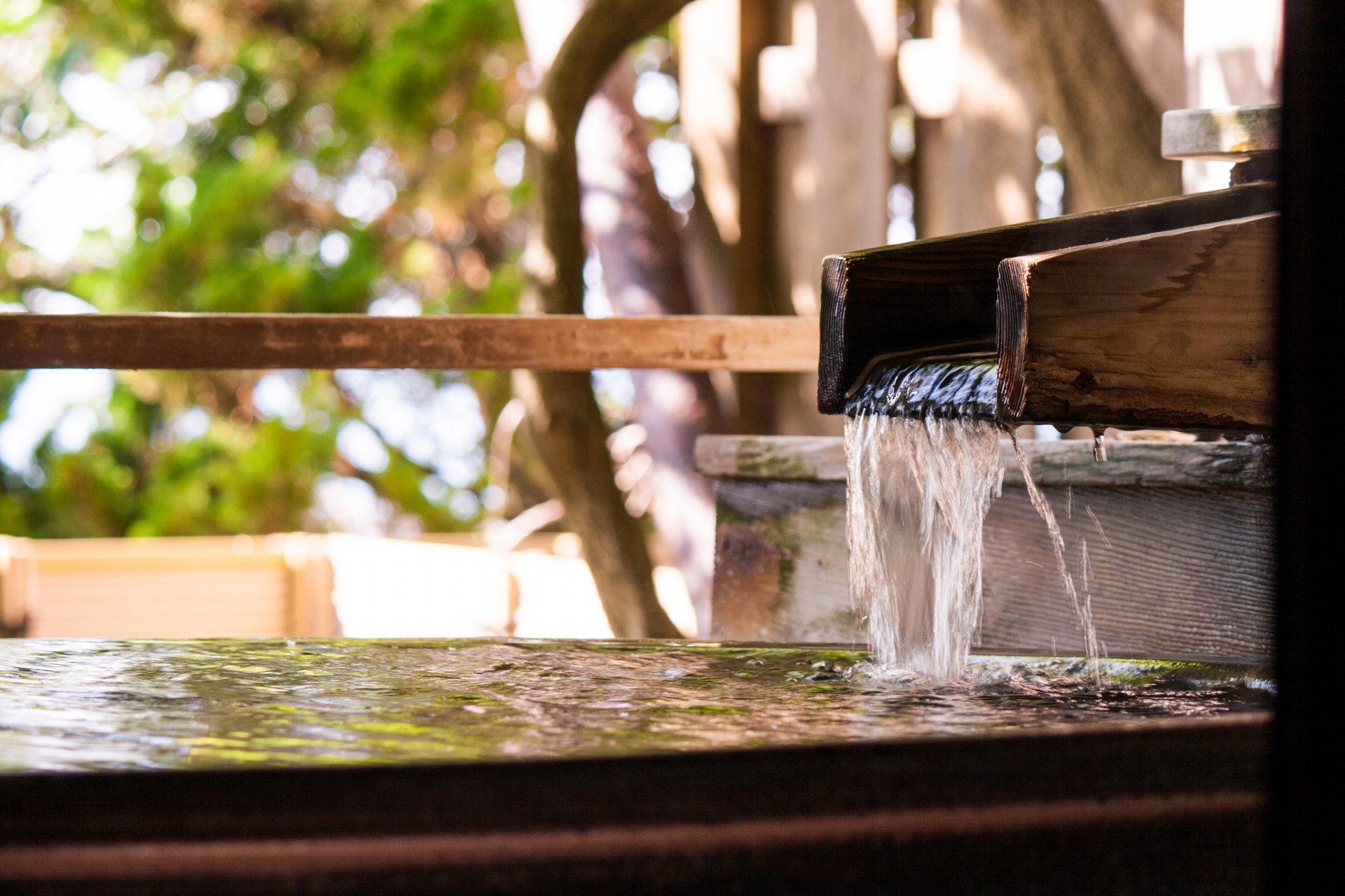 Kyoto: Immersive Arashiyama and Fushimi Inari by private vehicle