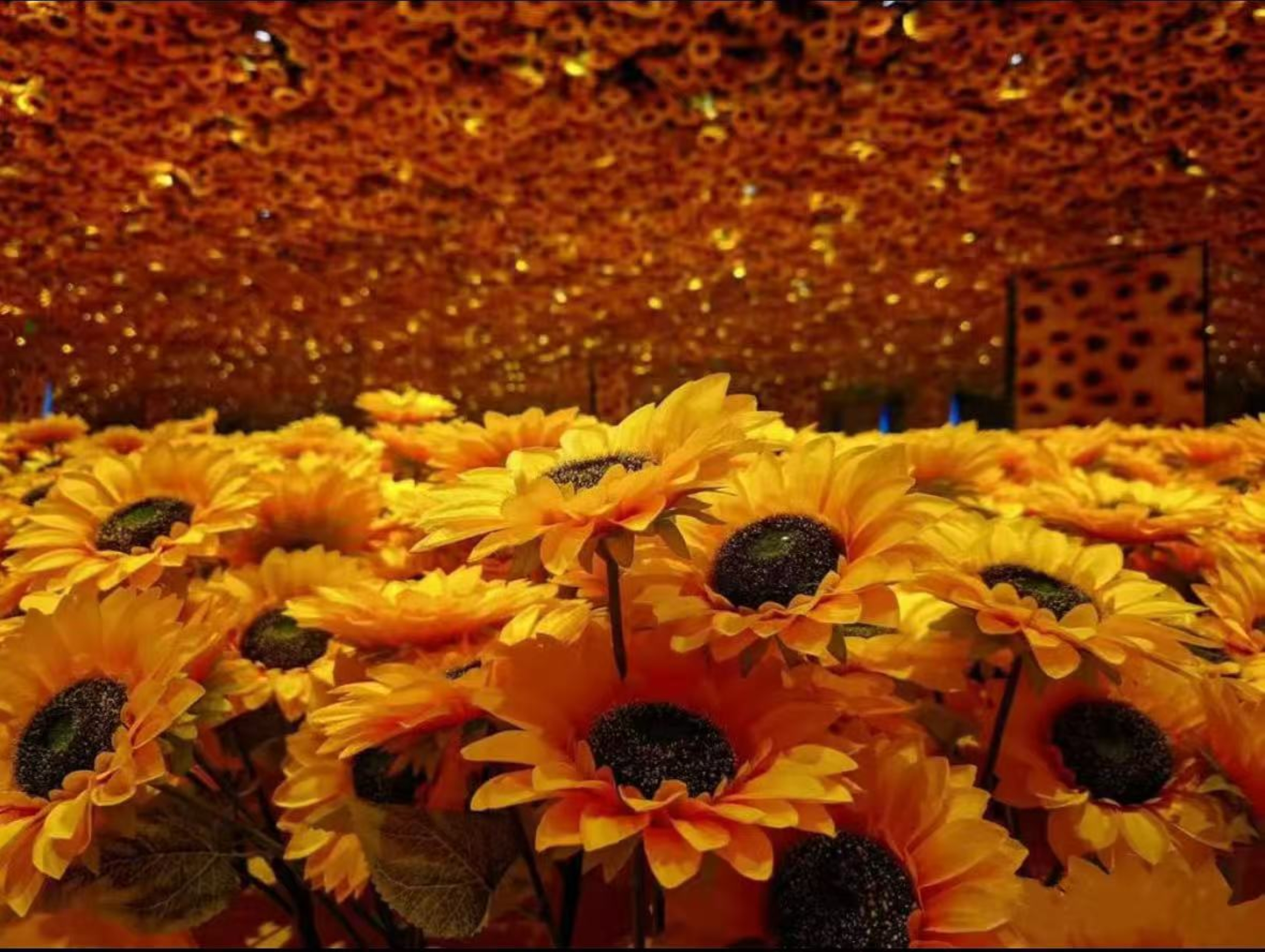 The design inspiration for the sunflower sea of flowers comes from Van Gogh's classic sunflower series of paintings, allowing you to experience the strong colors and vibrant vitality in his paintings.