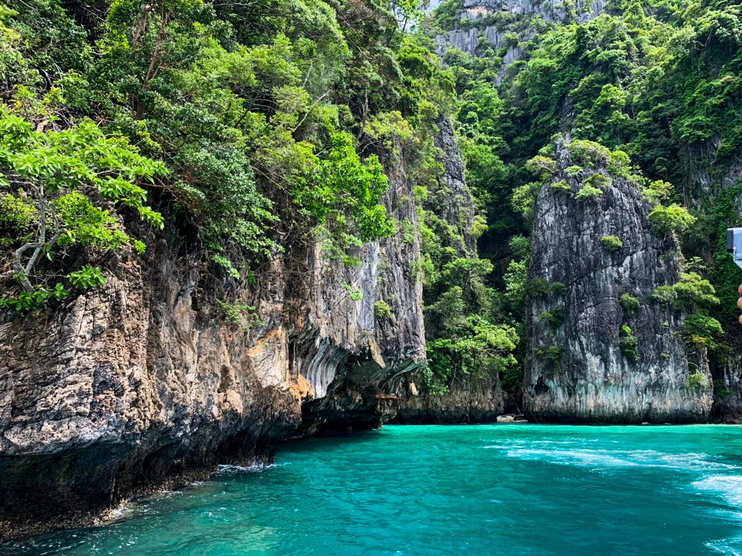 普吉島：快艇雙體船皮皮島一日遊 (Phuket: Phi Phi island Day Tour by Speedboat Catamaran)