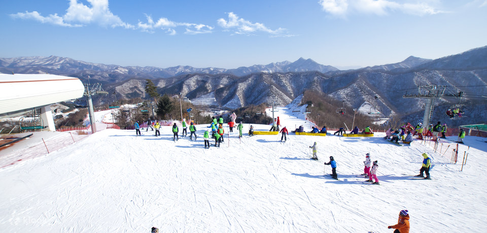 芝山森林 / 陽智松林 / 昆池巖 / 熊城滑雪場 單程&往返 & 私人包車一日遊