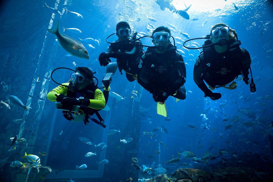 赫爾格達：橘子島潛水與浮潛之旅（含午餐）