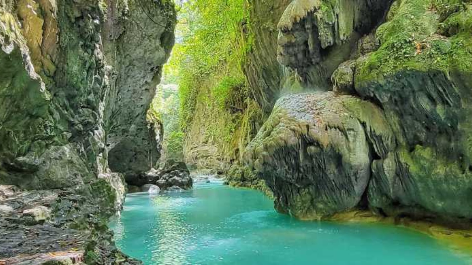 6 Hour Rio Partido's Secret River Trail with Lunch