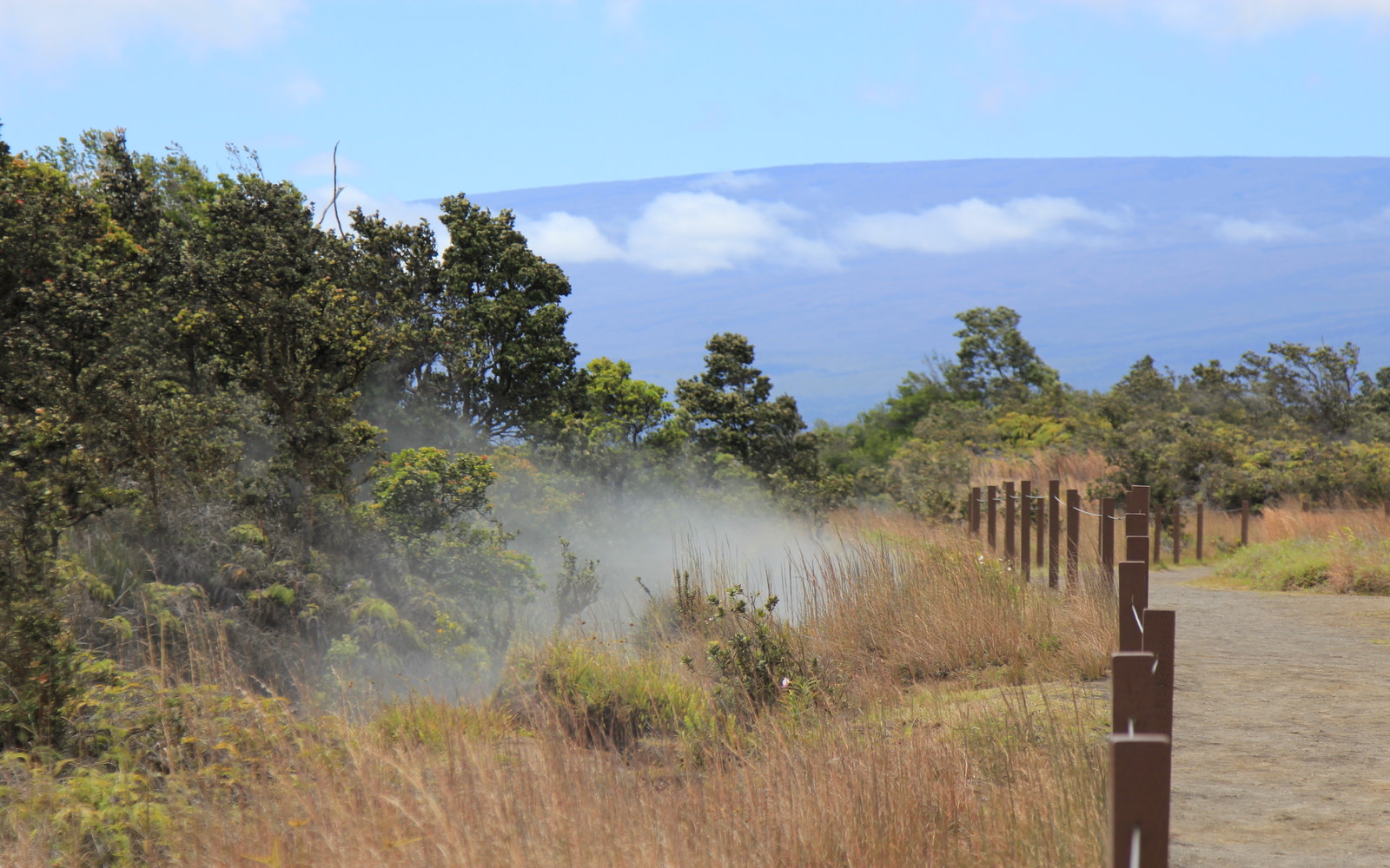 感受地球的溫暖從崎嶇火山地形中散佈的蒸氣孔中升騰而起