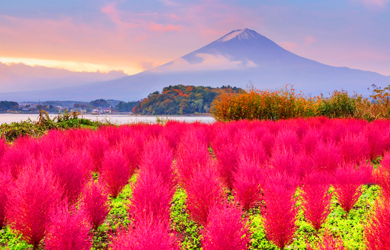 富士山探索之旅｜新倉山淺間公園·天梯小鎮·忍野八海·河口湖大石公園·西湖療愈里根場一日遊