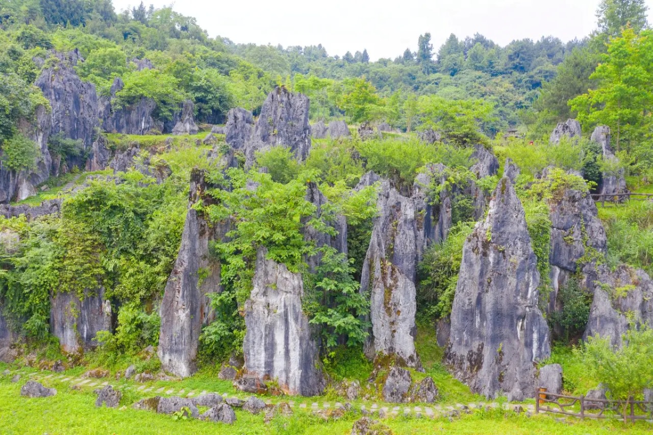 Sinan Stone Forest Tourist Area