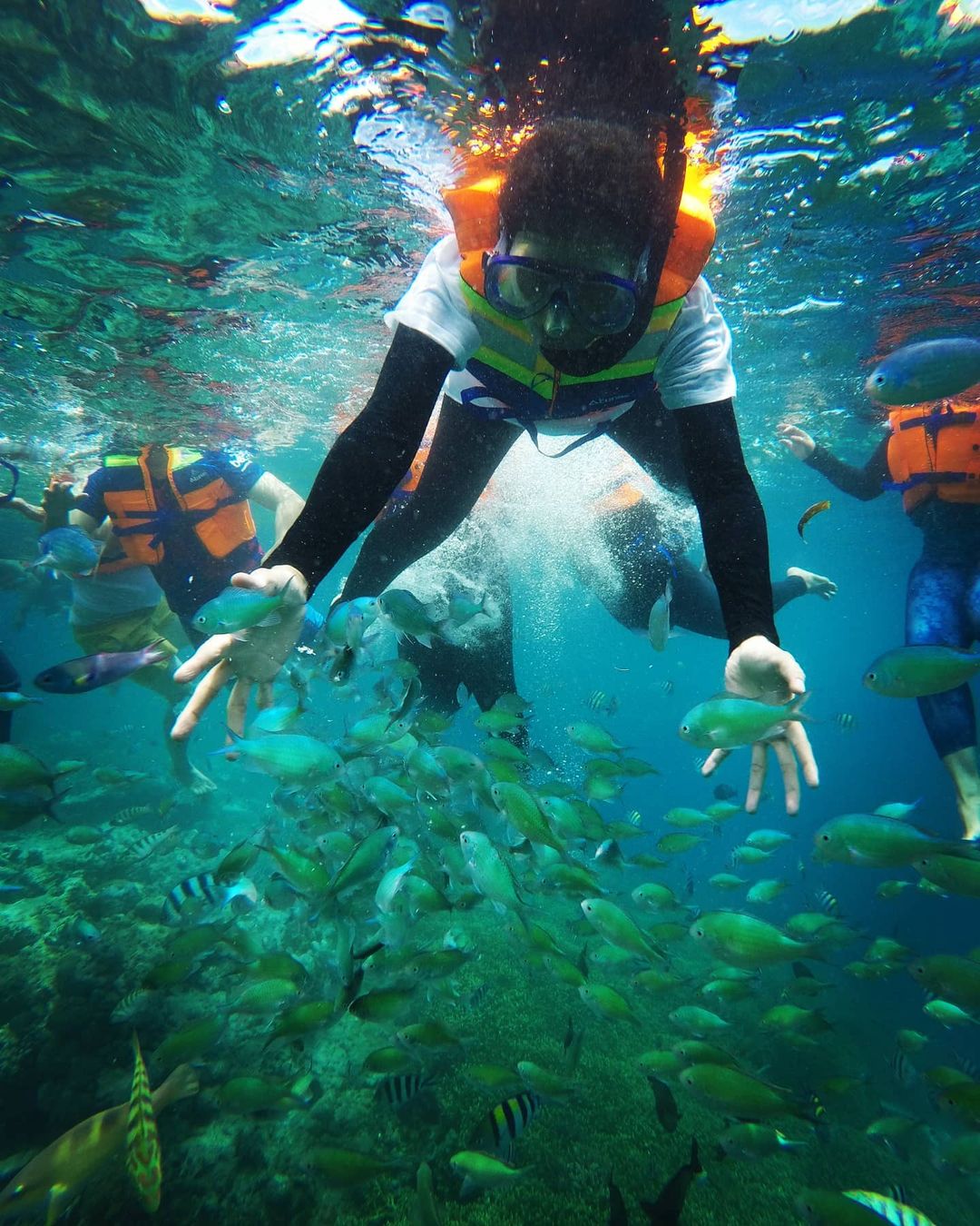 龍目島Gili Air島浮潛之旅