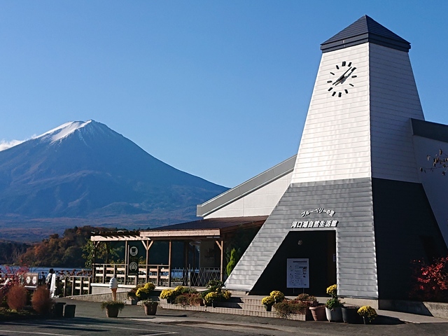 親子で一番人気の富士山日帰り自然体験：忍野八海＆大石公園＆まじの牧場（東京発）