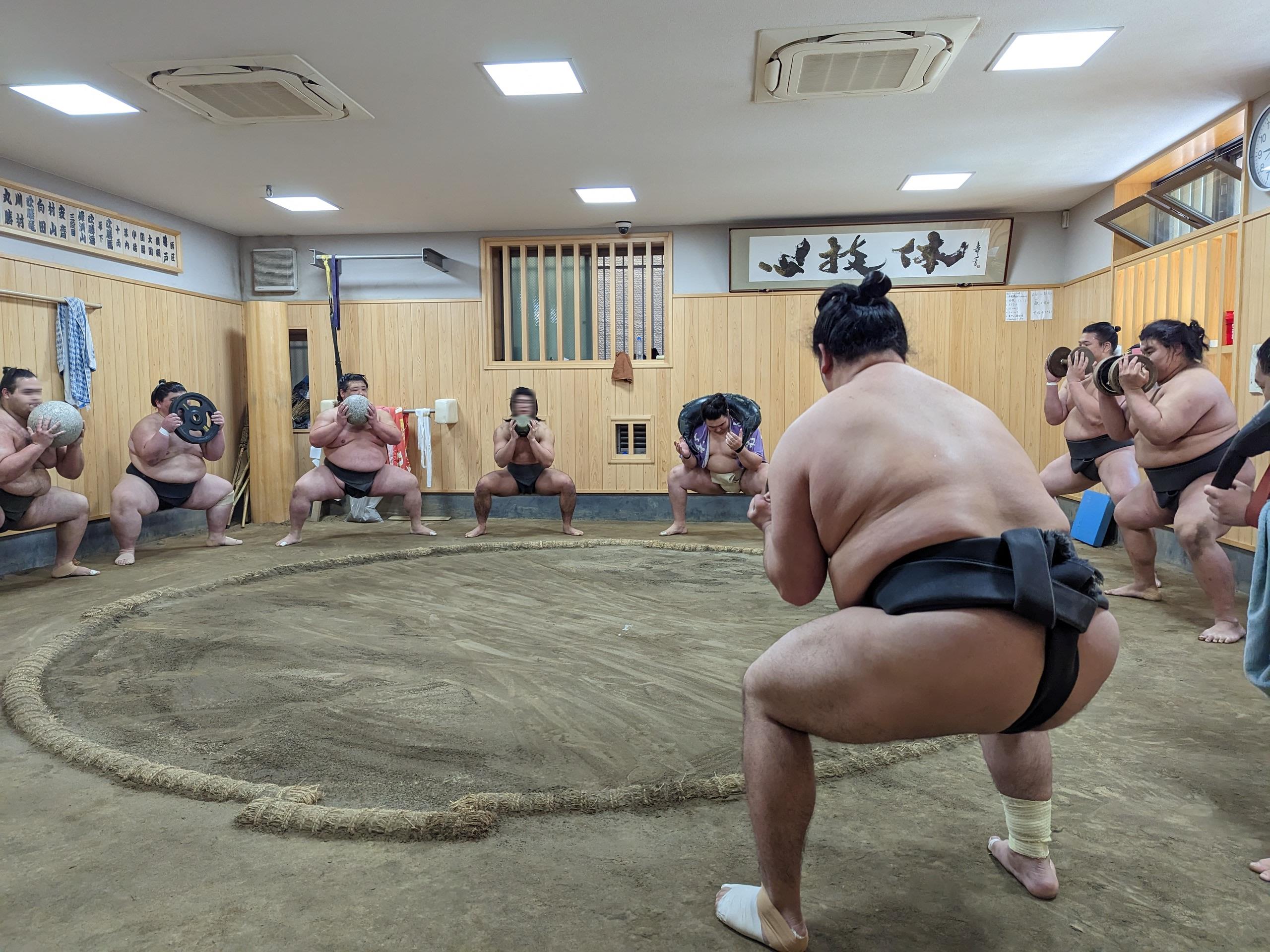 東京晨間觀看相撲練習體驗
