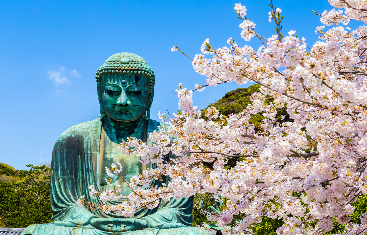 鎌倉大佛&江之電體驗&鎌倉高中&鶴岡八幡宮