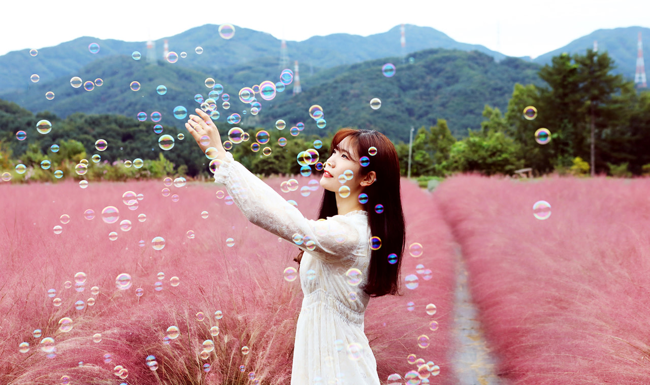 Pocheon Highlights Day Trip